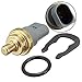 Price comparison product image Casavidas 06A919501A 2-Pin Coolant Temperature Sensor for Skoda Fabia Octavia
