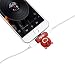 Produktbild Lykke. Kartenadapter für das iPhone Komfortables Musik & Aufladen für Iphone7 / Iphone7 Plus / Iphone9 / Iphone9 Plus - Kleiner Roter Bär