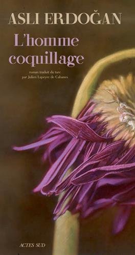 Homme coquillage (L')