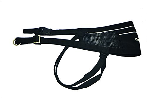 Neewa Canicross, Cinturon, Negro, Talla Única