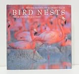 Bird Nests Bird Nests