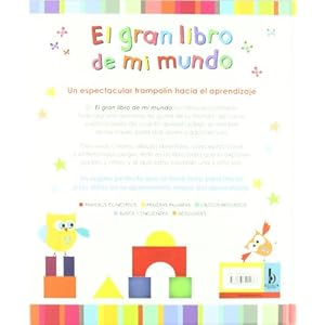 EL GRAN LIBRO DE MI MUNDO (VOLUMENES SINGULARES)