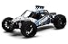 Produktbild DHK cage-r gebürstet 2 WD 1/10. RC Buggy RTR 2,4 GHZ