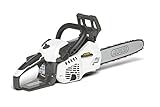 motosierra husqvarna 236 x torq Automática de aceite Alpina 240311200/A17 AC 31 - Motosierra de gasolina 850W, longitud de espada 30cm