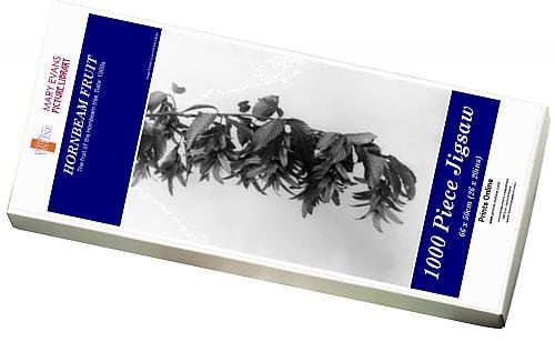 Download Photo Jigsaw Puzzle Of Hornbeam Fruit