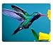 Produktbild Hummingbird Beautiful Colors Plant Bird Flight Nectar Yellow Petals Mouse Pads Customized Made to Order Support Ready 9.8 X 11.8 Eco Friendly Cloth with Neoprene Rubber Liil Mouse Pad