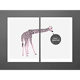 Doppel-Postkarten / Curious