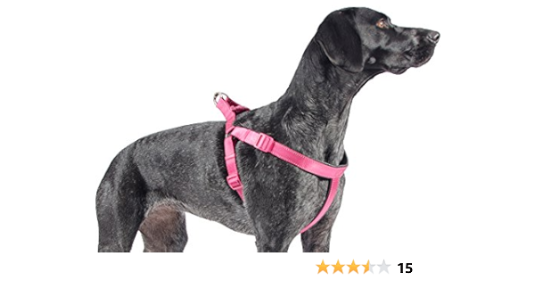 ancol harness size guide