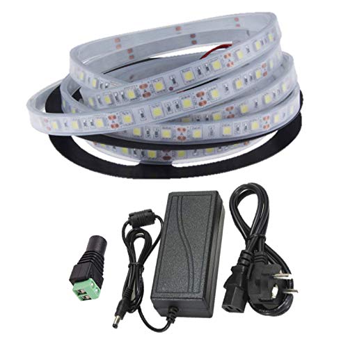 Ahorraluz Kit Tira 12v 5050 Sumergible Blanco Frio Puro (6000-6500k) + Transformador 5A Waterproof (5 Metros, 300 Leds, 60 led/m, IP67), Frío