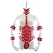 Produktbild DuuoZy Frauen sexy Leder Harness Körper Bondage Body Lockdown Taille und Arm Gürtel Handfesseln Erwachsenenspielzeug Anzug, red