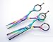 Titanium Hair Scissors AND Hair Thinning Scissors Set, 5.5 inch + Presentation Case/Box
