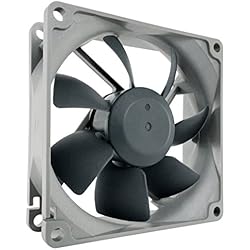 Noctua NF-R8 redux-1800 PWM, Ventilateur Haute Performance, 4 Broches, 1800 tr./min (80 mm, Grise)