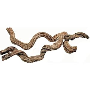 2 Stück Liane Deko Zweige 40-50 cm Terrarium Voliere 2-4 cm