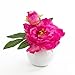 Produktbild Künstliche Pfingstrose ANISA im Keramiktopf, pink, 20 cm, Ø 17 cm - Kunstblume / künstliche Blumen - artplants