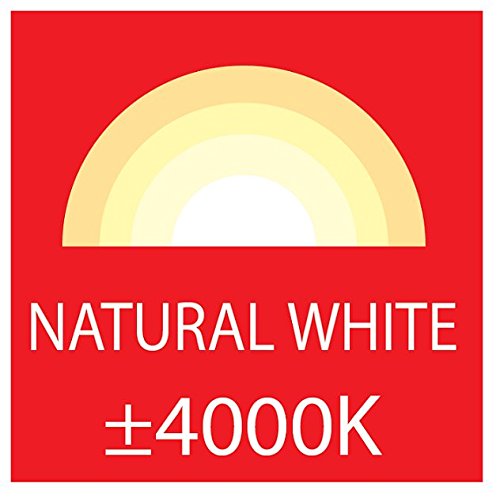 Smartwares LED Fluter mit Bewegungsmelder, LED Sicherheitsleuchte, 20 w, 1200 lm, SL1-A20-B - 7