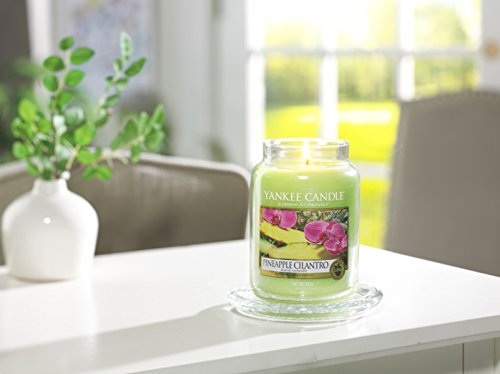 Yankee Candle Classic Housewarmer Gross, Pineapple Cilantro, Duftkerze, Raum Duft im Glas / Jar, 1174261E - 2