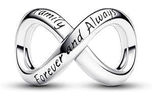 CWOne Designs S925 Sterling Silver Family Moments Love Heart Charm for Pandora Charm Bracelets.