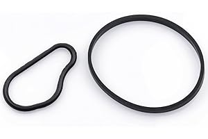 ROBUST CAR PARTS ROBUST Vacuum Pump O-Ring Seal Gasket for Ford Fiesta Focus Fusion C-Max Peugeot 107 206 207 307 407 1007 3008 Expert Partner Citroen Berlingo C2 C3 C4 Picasso 1.6 Hdi 1355031 1743896