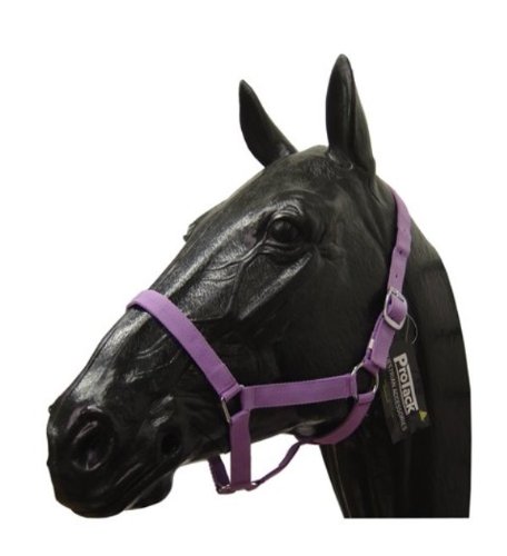 ProTack-Horse-Headcollar-Nylon-Lilac-Pony