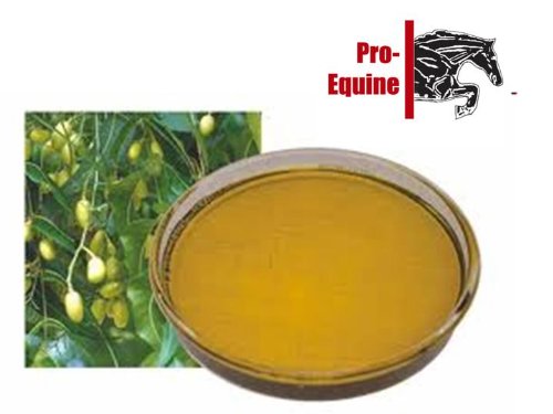 Neem-oil-for-horses-10Kg-Sweet-Itch-mudfever-rainscald-lice-itchy-heels-wound-care-Supplied-in-2x5kg-containers