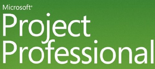 Preisvergleich Produktbild Project Professional - Software Assurance - 1 Benutzer