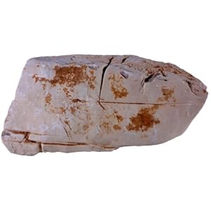 3 kg Bilderstein, Dekoration für Aquarien und Terrarium