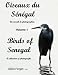 Oiseaux Du S N Gal / Birds of Senegal - Gilles Forget D. Sc