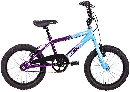 Raleigh Extreme Childrens Kick 16 Inch Bike in Blue and Purple - 10 Inch Frame