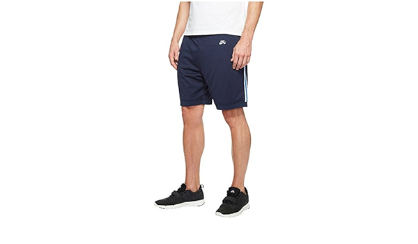 nike sb dry court shorts