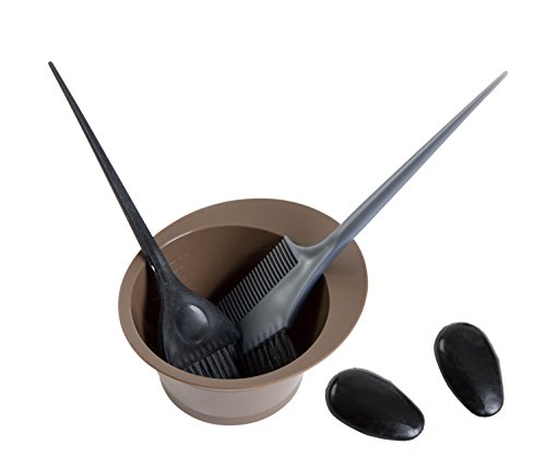 Goodofferplace® 4 Piece Professional Salon Hair Tinting Bowl Brush Comb Ear Cover Combo Set Kit For Salon Barber College Professional Hair Coloring Bleaching Hair Dye