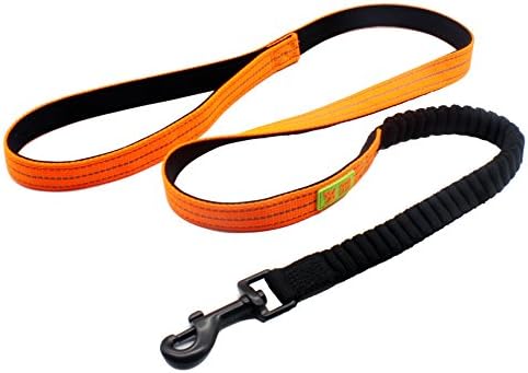 Orange High Viz Bungee Dog Lead for Easy Night Visibility Shock Absorbing for Running and Walking by Plus Ultra