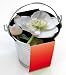 Produktbild 10er Set Pflanzeimerchenset Christrose