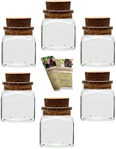 gouveo Korkengläser "Quadrat", Ideal für Gastgeschenke, Gewürze, Glasdose, Aufbewahrungsglas, Korkenglas eckig (24er Set, Korkenglas 120 ml)