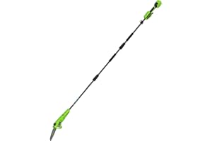 Greenworks Élagueuse sur perche sans fil 24 V 20 cm, longue portée de 2,68 m pour l'élagage des arbres, tronçonneuse électrique avec lubrification automatique, vitesse de chaîne de 6,7 m/s, outil seul