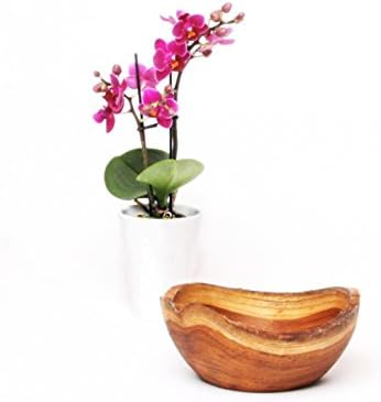 FascinationWood 'Handmade Teak Wood Bowl Nungnung