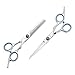 Acelist 2 X Professional Hair Cutting & Thinning Scissors Shears Hairdressing Set RS.1949.00