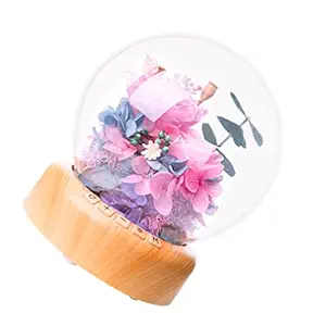 OSALADI Christmas Snow Globe Decorations Rose Glass Dome Led Snow Globe Kit Music Box Christmas Rose Gift Birthday Gifts Valentines Day