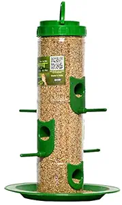 Skybeings Bird Feeder for Bird Food Large 1 Piece_Green