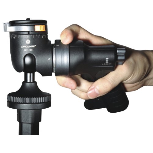 Vanguard Alta Pro 263AGH - Trípode de Aluminio (Carga máxima de 6 kg), Color Negro