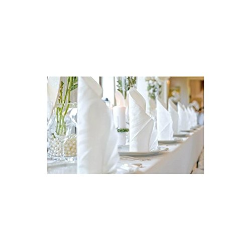 Duni Servietten Dunilin, 400 x 400 mm, weiß 4002215230308 - 2