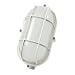 Produktbild Synergy 21 LED Kellerleuchte oval IP65 7W cw
