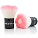 RayLinDo® Flower Shape Make up Face Powder Brush Kabuki Blush Brush Mushroorn Makeup Tools With Case