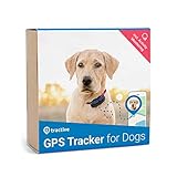 gps ortung hund AKTIVITÄTSTRACKING - Achten Sie mit dem integrierten Fitnesstracker auf die Gesundheit Ihres Hundes.