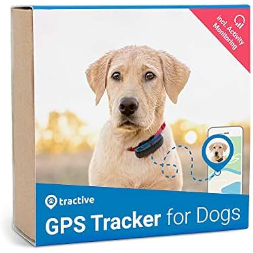 Suchergebnis auf Amazon.de für gps chip für katzen