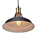 Produktbild Vintage Industrielle Pendelleuchten Hängeleuchten Esstischlampe Decken Lampe für Wohnzimmer Esszimmer Restaurant Keller Untergeschoss Schwarzes (Groß) für E27 Leuchtmittel