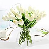 Perfectas para hacer decoraciones en puertas, alféizares de ventanas, macetas, jardineras, tanto en arreglos exteriores como interiores.