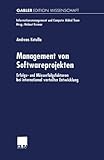 Image de Management von Softwareprojekten. Erfolgs- und Misserfolgsfaktoren bei international verteilter Entw