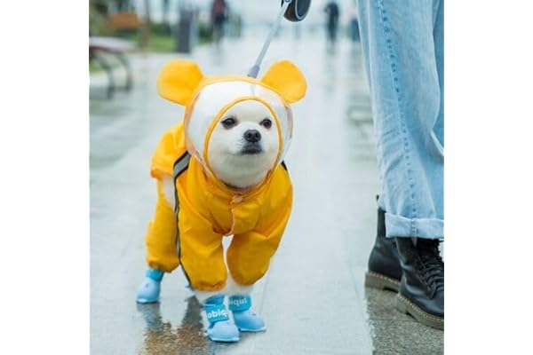 Dog Raincoats Rain Snow Coats Waterproof Clothing (4 Four Legs) Raincoat Full Cover Dogs Hooded Transparent (Yellow Colour with Decorative Hooded Ears) (12)