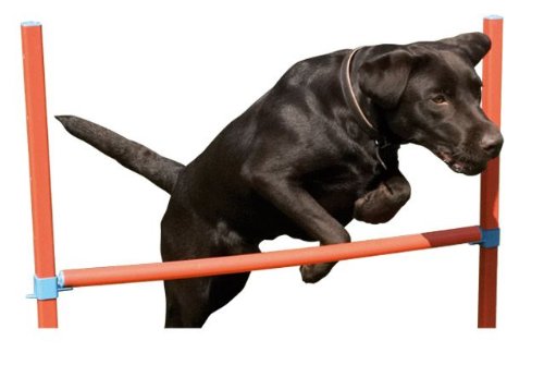 Dog-Agility-Hurdle-Bar