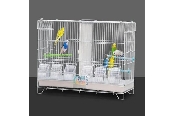 Volière Intérieur Cage Oiseaux Exterieur Métal pour Perruches Perroquets Pinsons Inséparables Canaris avec Filet de séparation, Plateau de tiroir, Cage à Perroquet Moyenne et Petite,60 * 26 * 39.5 cm